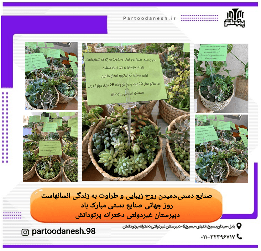 دبیرستان غیردولتی دخترانه پرتو دانش